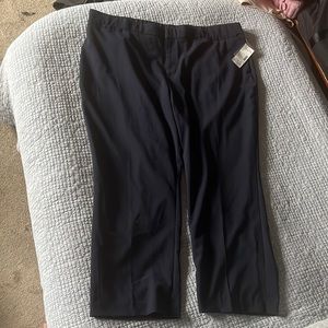 Women’s right fit moderately curvy navy blue pants size 24P.